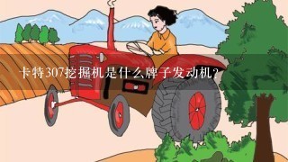 卡特307挖掘机是什么牌子发动机?