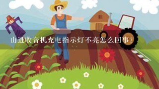 山进收音机充电指示灯不亮怎么回事?