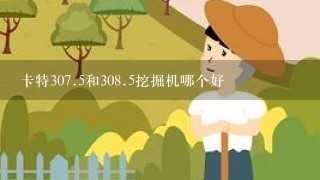 卡特307.5和308.5挖掘机哪个好