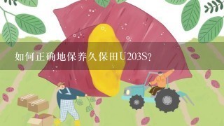 如何正确地保养久保田U203S？