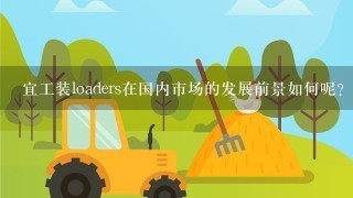 宜工装loaders在国内市场的发展前景如何呢